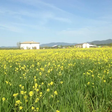Bauernhof Il Grano Di Bramante Marrucheto