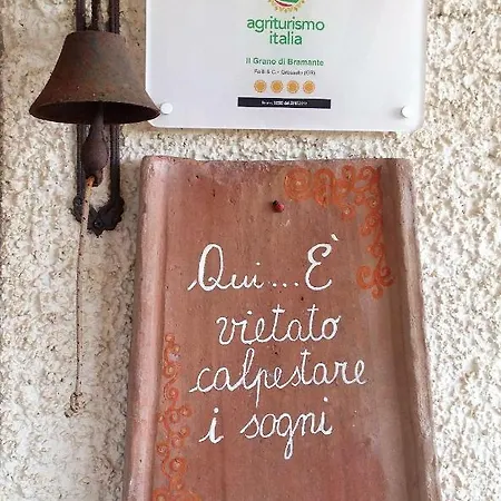 Il Grano Di Bramante