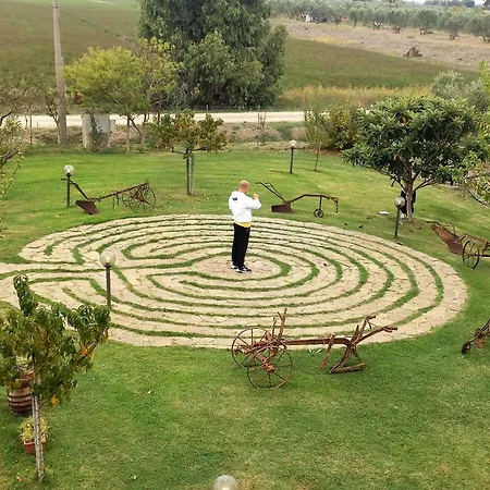Il Grano Di Bramante *