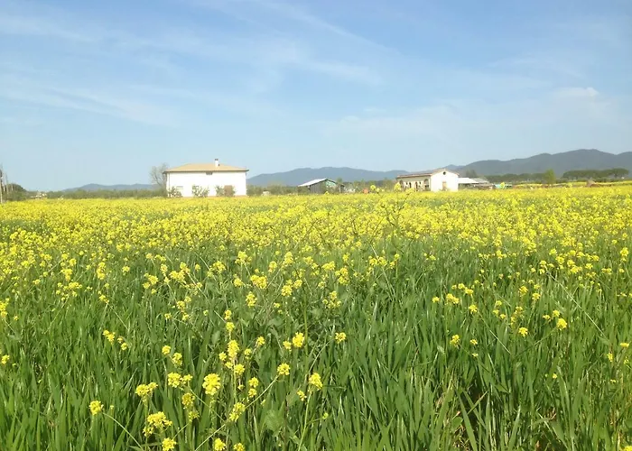 Farma Il Grano Di Bramante Marrucheto